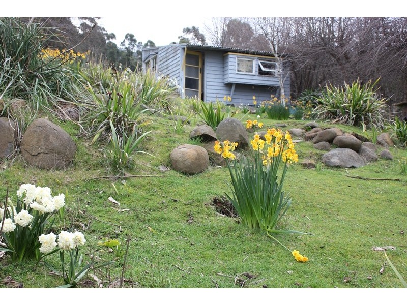 43 Louden Street, South Hobart TAS 7004