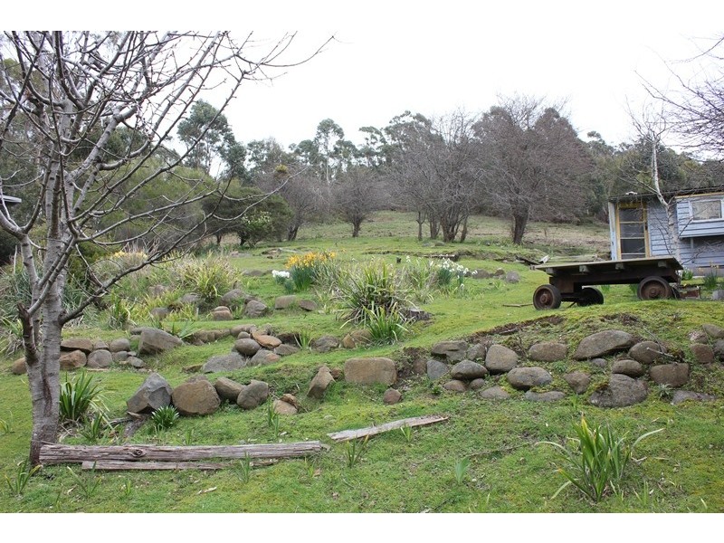 43 Louden Street, South Hobart TAS 7004