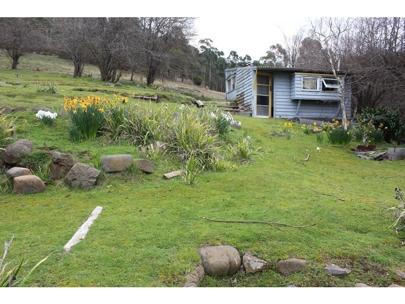 43 Louden Street, South Hobart TAS 7004