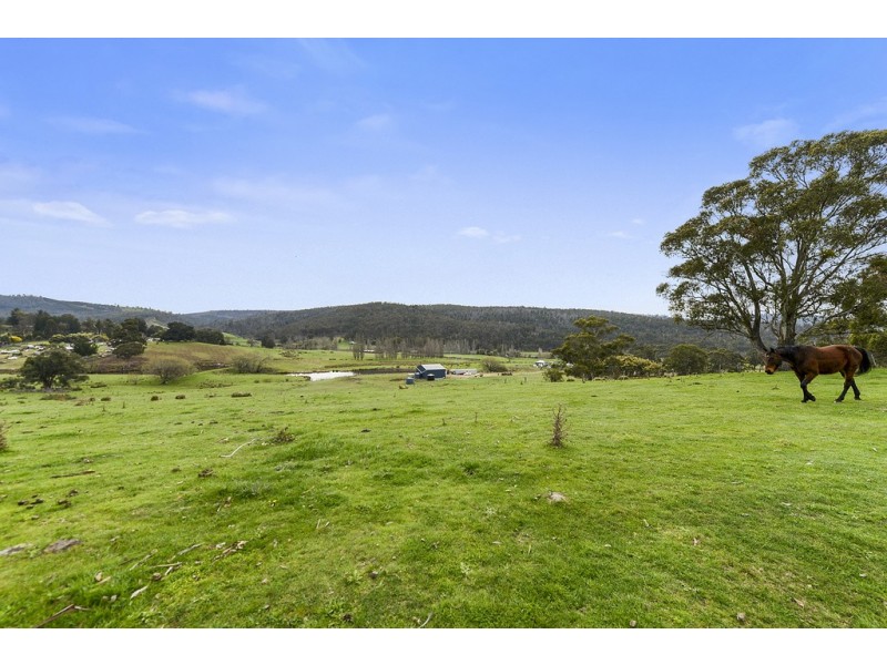 197 Ellendale Road, Fentonbury TAS 7140