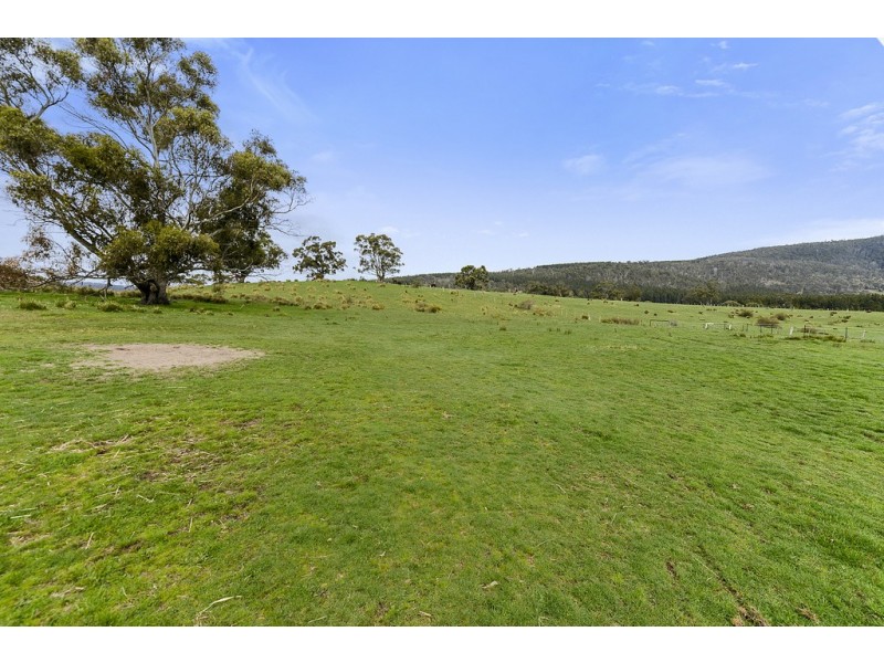197 Ellendale Road, Fentonbury TAS 7140