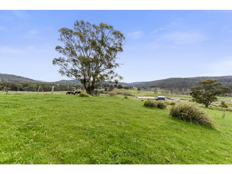 197 Ellendale Road, Fentonbury TAS 7140