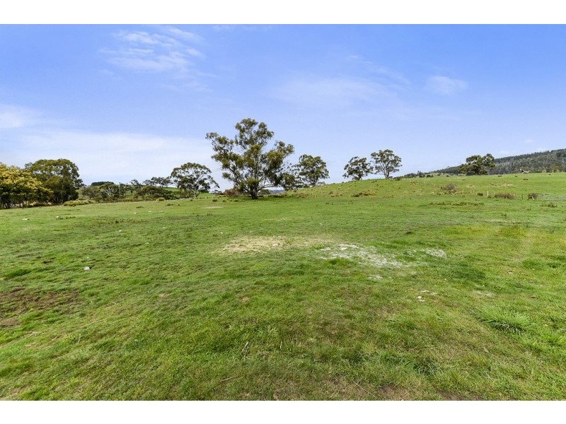 197 Ellendale Road, Fentonbury TAS 7140