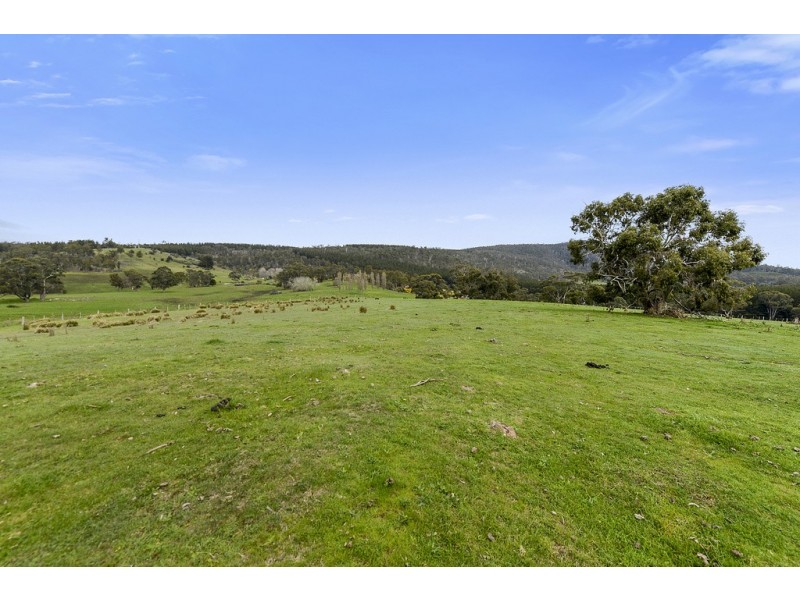 197 Ellendale Road, Fentonbury TAS 7140