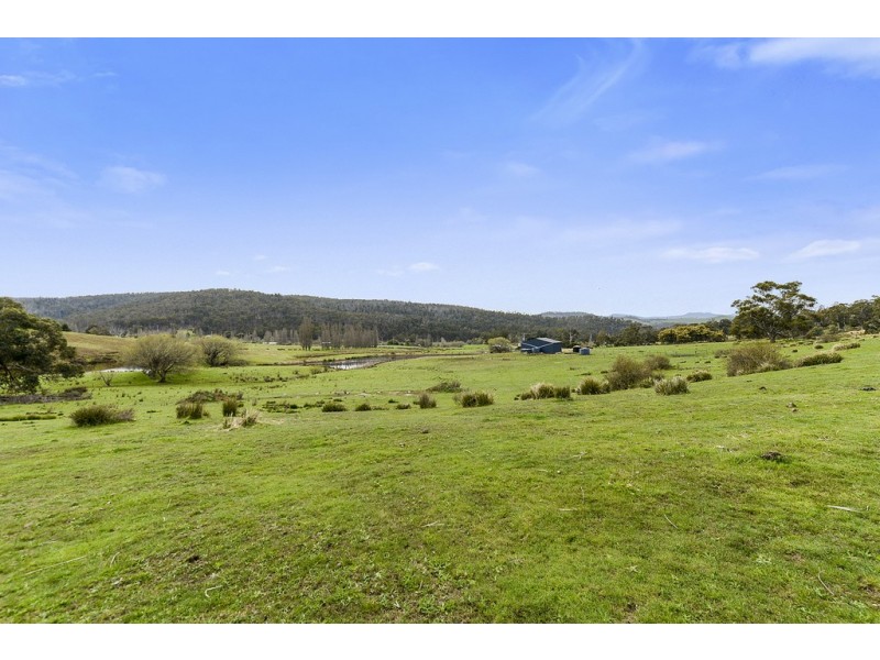 197 Ellendale Road, Fentonbury TAS 7140