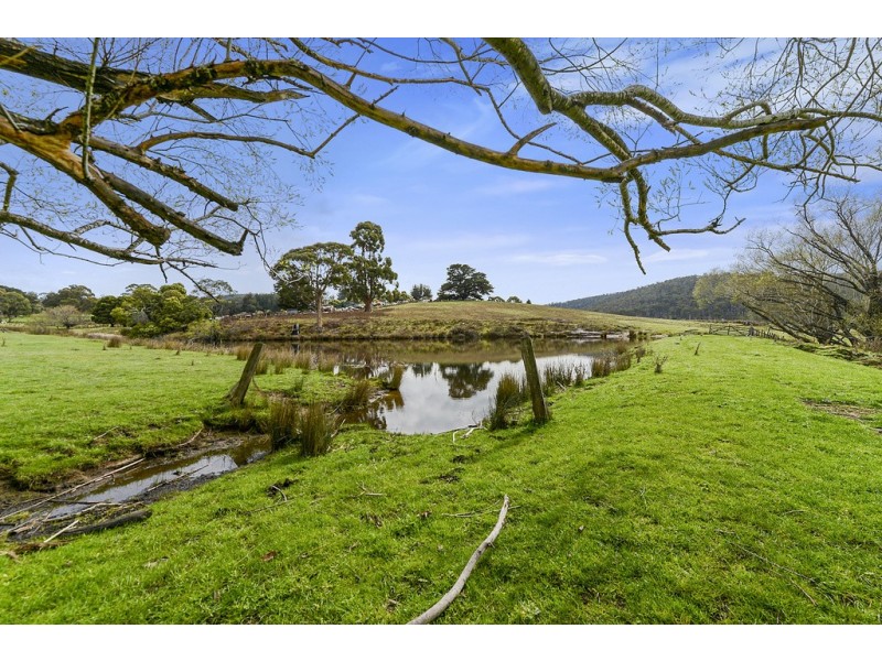 197 Ellendale Road, Fentonbury TAS 7140