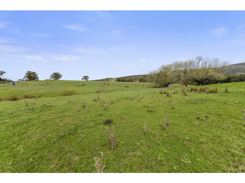 197 Ellendale Road, Fentonbury TAS 7140