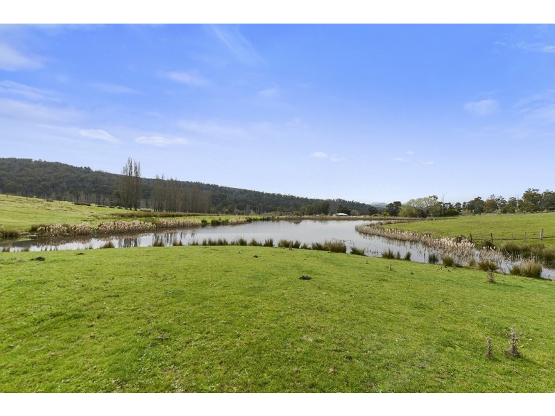 197 Ellendale Road, Fentonbury TAS 7140