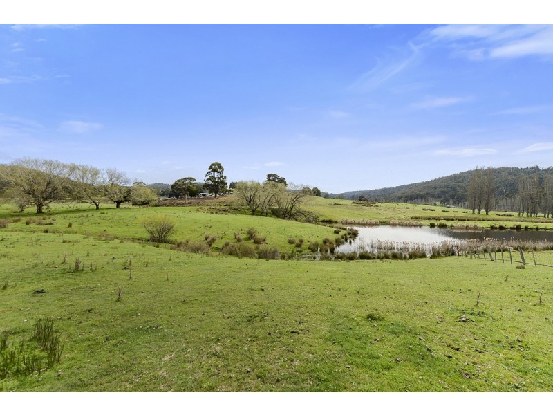 197 Ellendale Road, Fentonbury TAS 7140