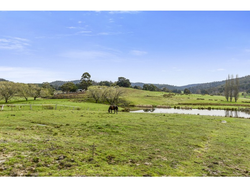 197 Ellendale Road, Fentonbury TAS 7140