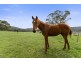 197 Ellendale Road, Fentonbury TAS 7140