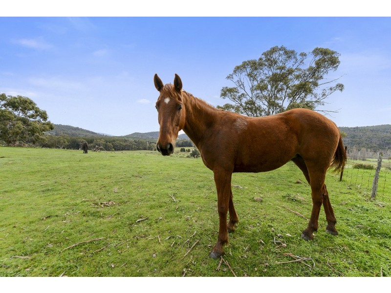 197 Ellendale Road, Fentonbury TAS 7140