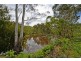 490 Molesworth Road, Molesworth TAS 7140