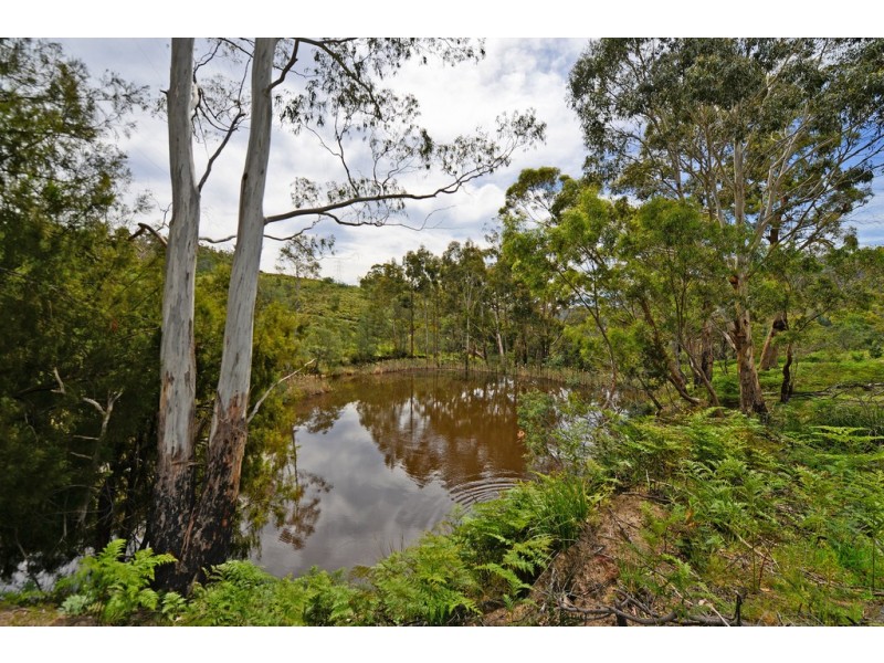 490 Molesworth Road, Molesworth TAS 7140