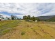 490 Molesworth Road, Molesworth TAS 7140