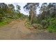 490 Molesworth Road, Molesworth TAS 7140