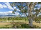 279 Cove Hill Road, Honeywood TAS 7017