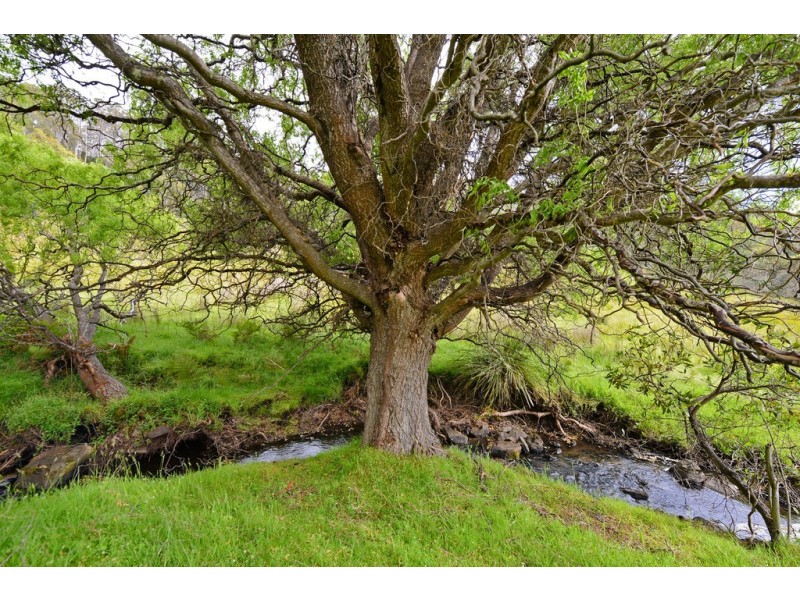 777 McGuires Marsh Road, Osterley TAS 7140