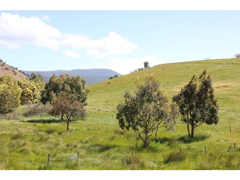 415 Cockatoo Gully Road, Elderslie TAS 7030