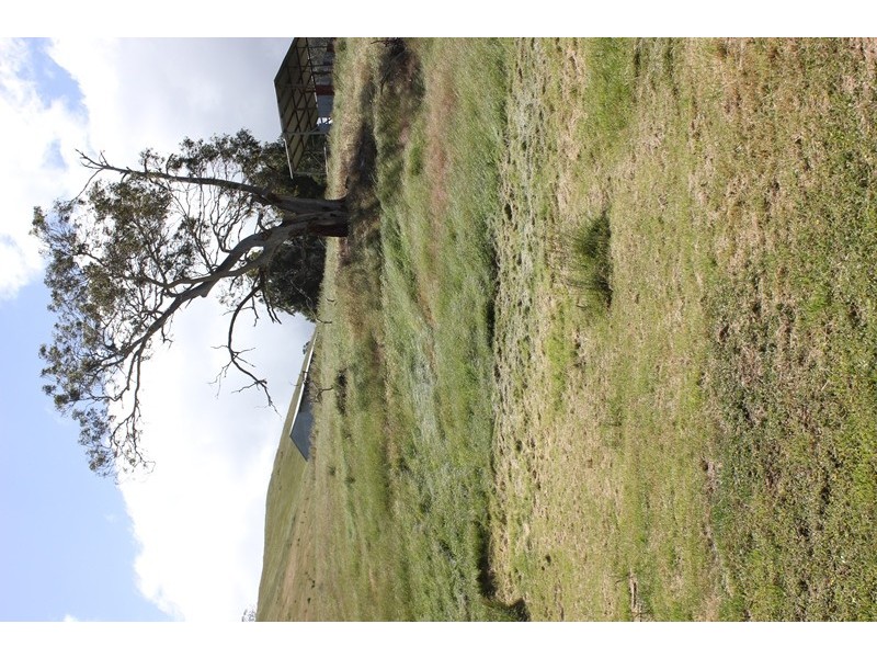 415 Cockatoo Gully Road, Elderslie TAS 7030