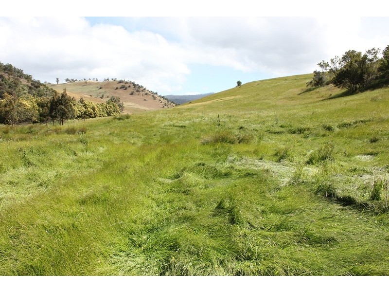 415 Cockatoo Gully Road, Elderslie TAS 7030