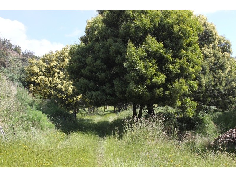 415 Cockatoo Gully Road, Elderslie TAS 7030