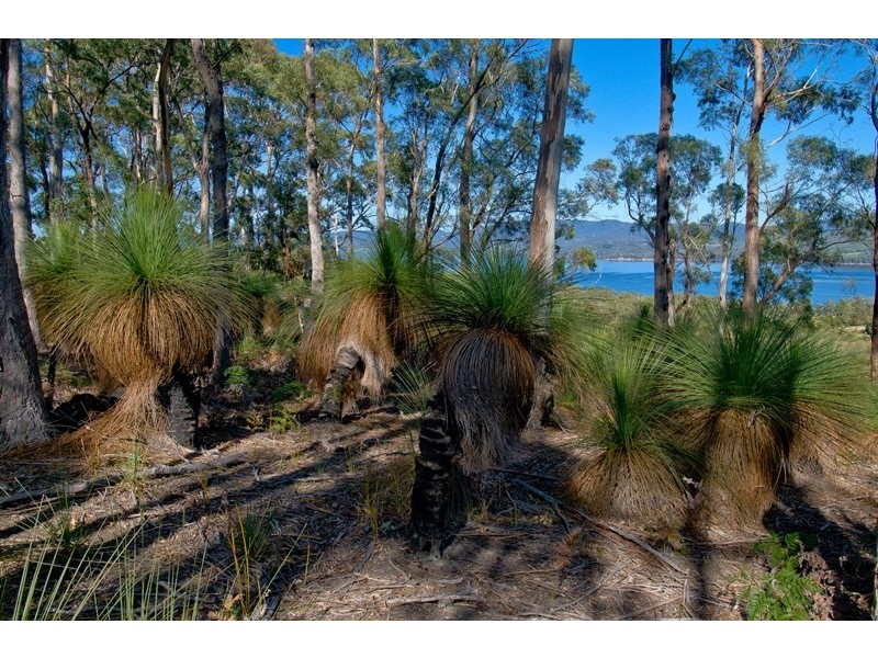 225 Nebraska Road, North Bruny TAS 7150