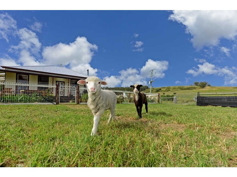 225 Nebraska Road, North Bruny TAS 7150