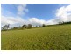 Lot 2 Orielton Road, Orielton TAS 7172