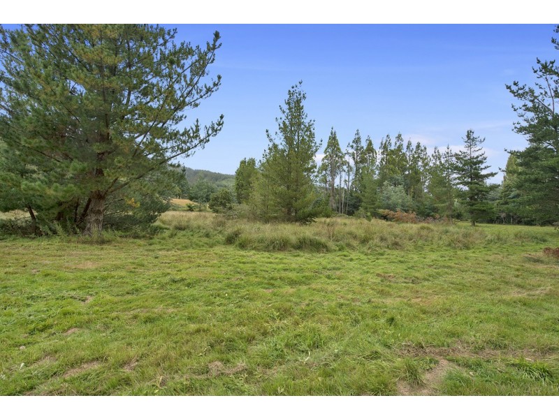 Lot 1 Junee Road, Maydena TAS 7140