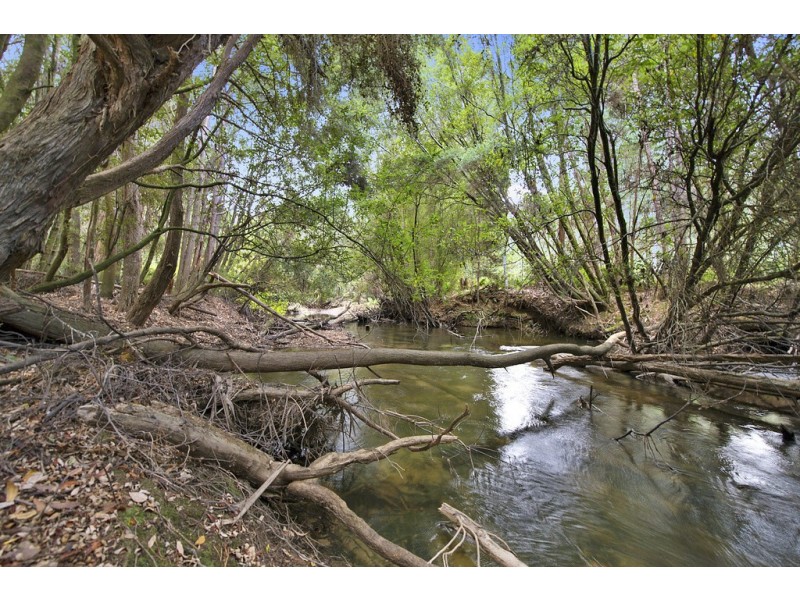 Lot 1 Junee Road, Maydena TAS 7140