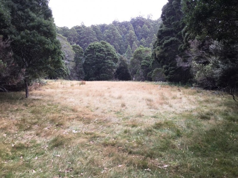 Lot 1 Junee Road, Maydena TAS 7140