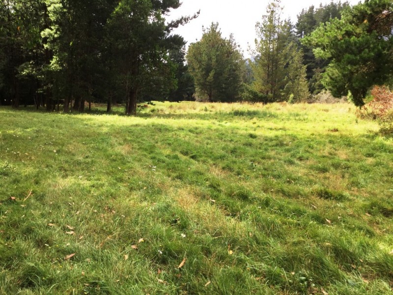 Lot 1 Junee Road, Maydena TAS 7140