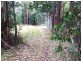 Lot 1 Junee Road, Maydena TAS 7140
