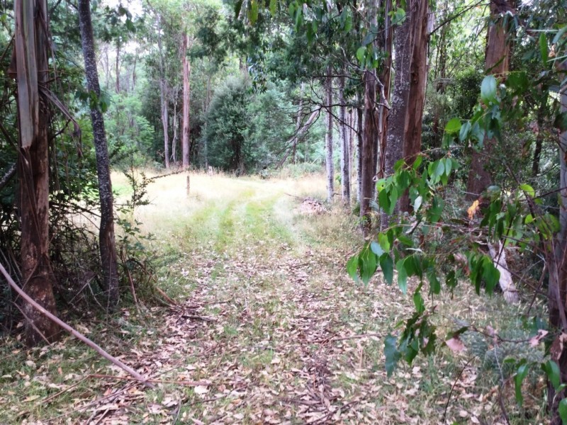 Lot 1 Junee Road, Maydena TAS 7140