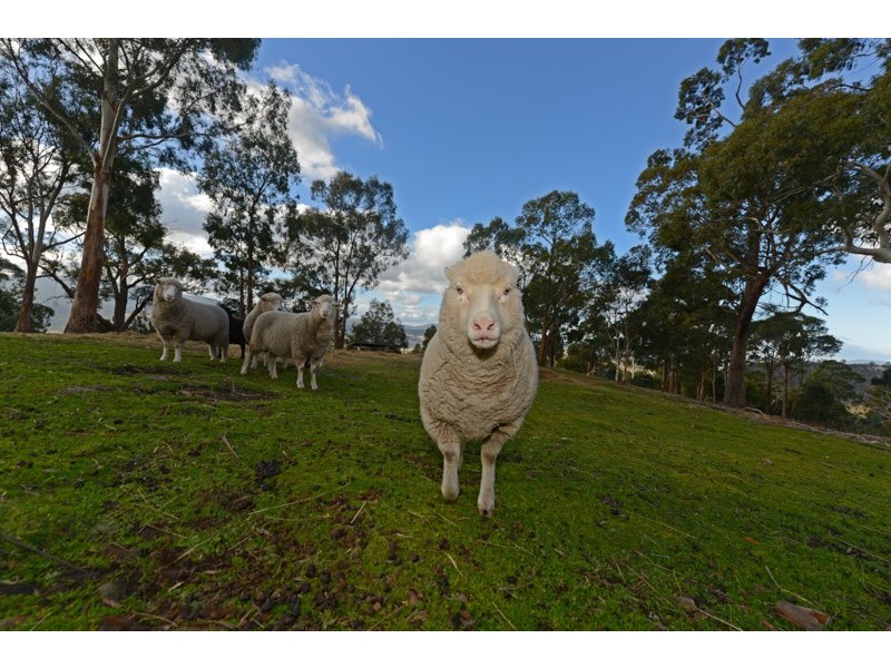 1054 Church Road, Broadmarsh TAS 7030