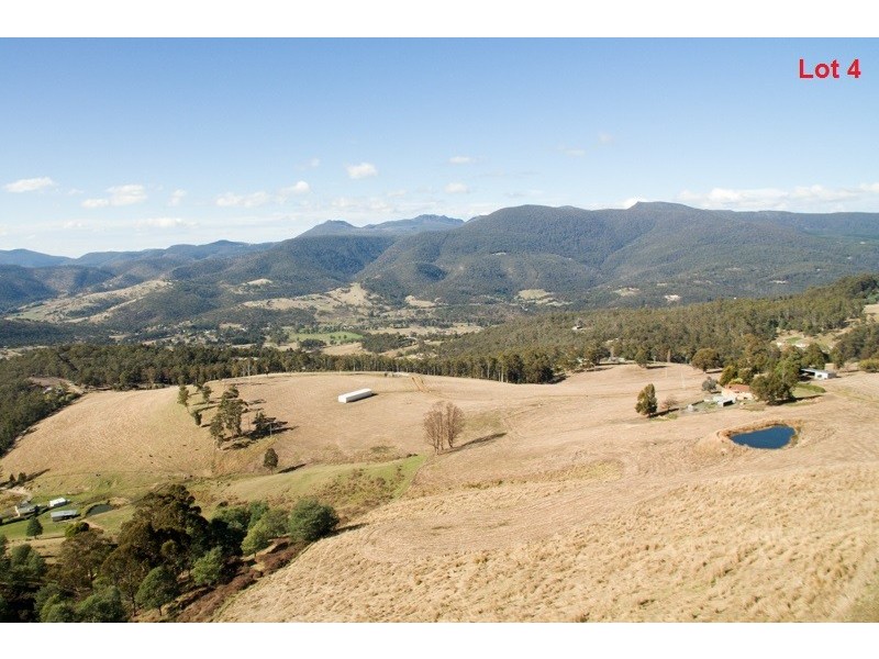 Lot 4 Moss Beds Road, Lachlan TAS 7140