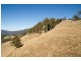 Lot 4 Moss Beds Road, Lachlan TAS 7140