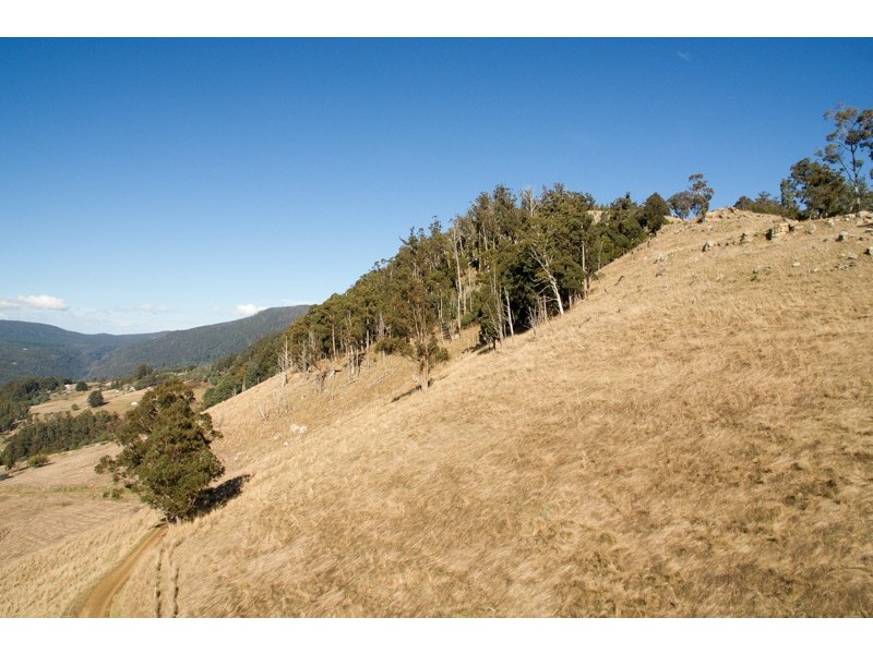 Lot 4 Moss Beds Road, Lachlan TAS 7140