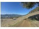Lot 4 Moss Beds Road, Lachlan TAS 7140