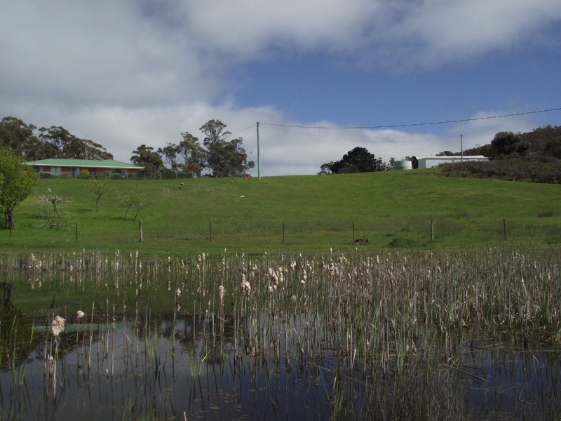 299 Rhyndaston Road, Colebrook TAS 7027