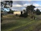 15 Raffan Road, Honeywood TAS 7017