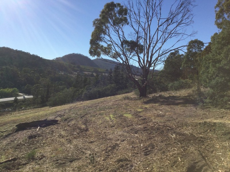 Lot 1 and 2 Dysart Drive, Dysart TAS 7030