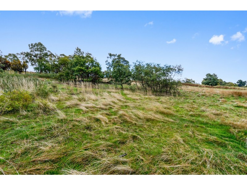 Lot 1 and 2 Dysart Drive, Dysart TAS 7030