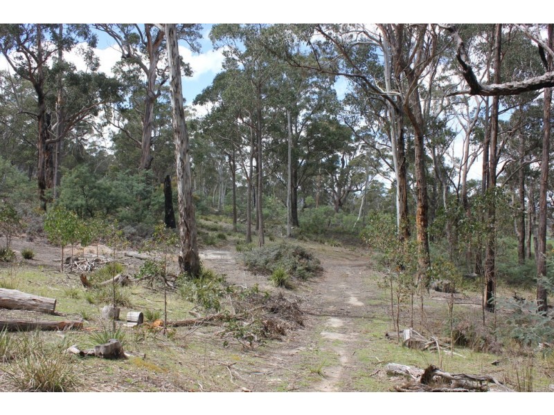 65 Clifton Park Road, Dysart TAS 7030