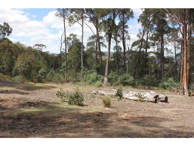65 Clifton Park Road, Dysart TAS 7030