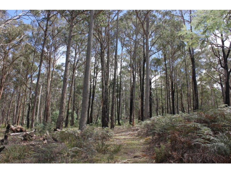 65 Clifton Park Road, Dysart TAS 7030