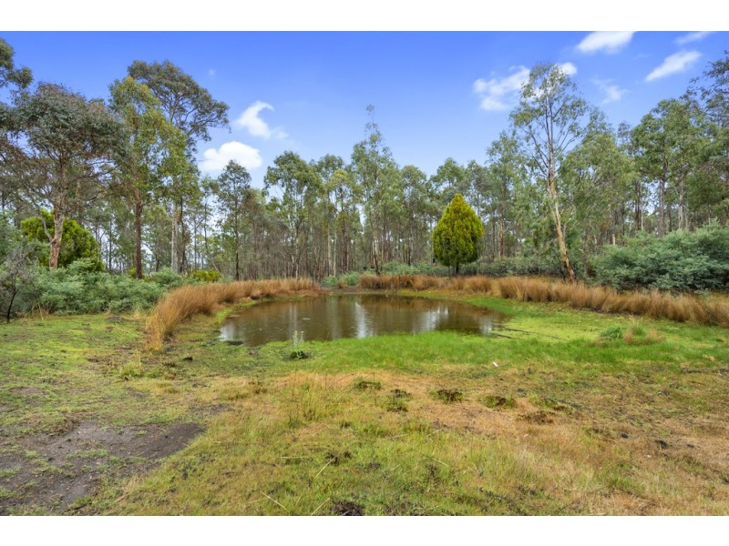 191 Link Road, Colebrook TAS 7027