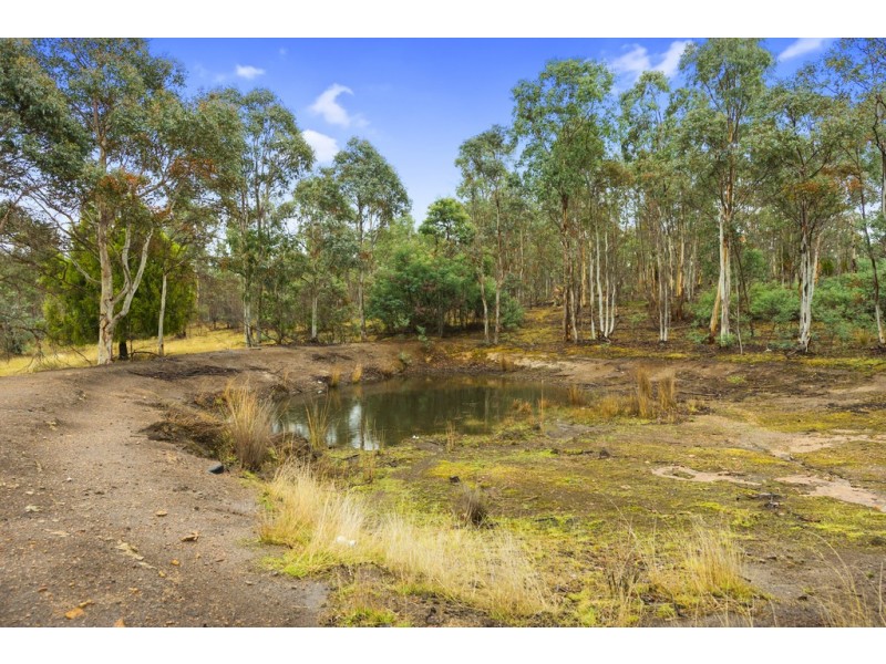191 Link Road, Colebrook TAS 7027