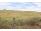 1 Bluff Road, Gretna TAS 7140